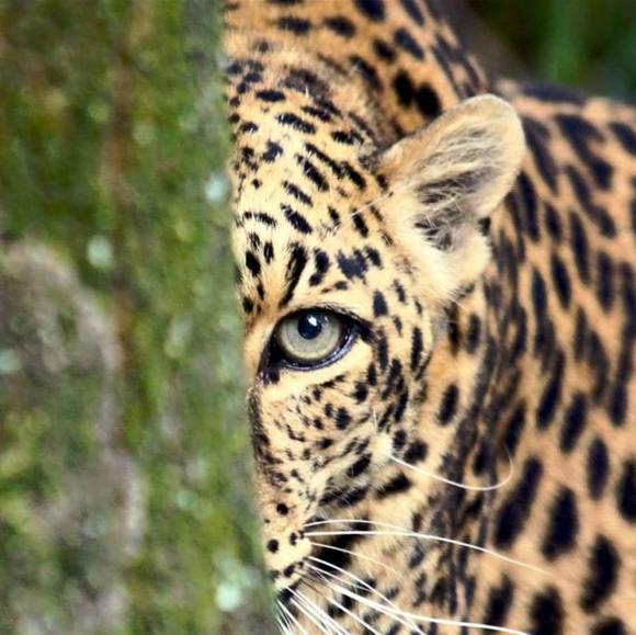 Meet your Posher, Natalie - Picture 1 of 1